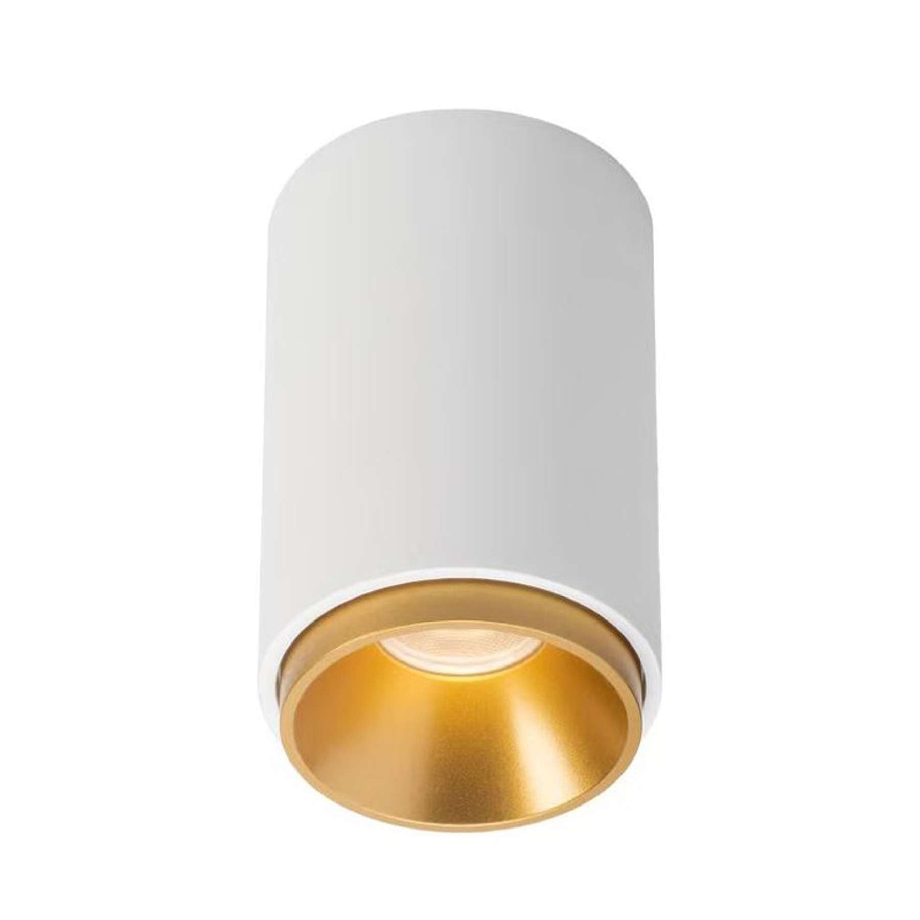 Clickfit Cave Medium IP54 Surface mounted downlight White/Gold