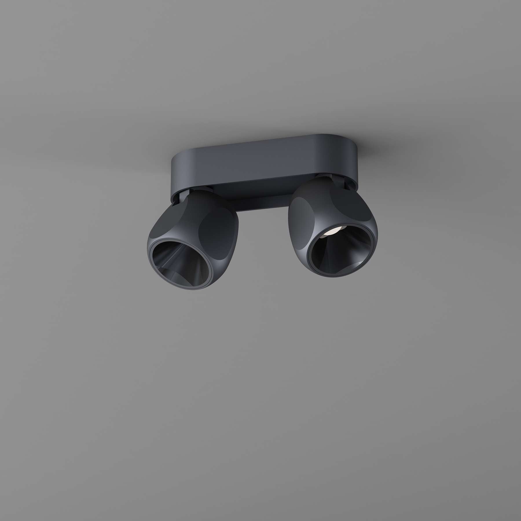 Box Small 2 Ceiling spotlight