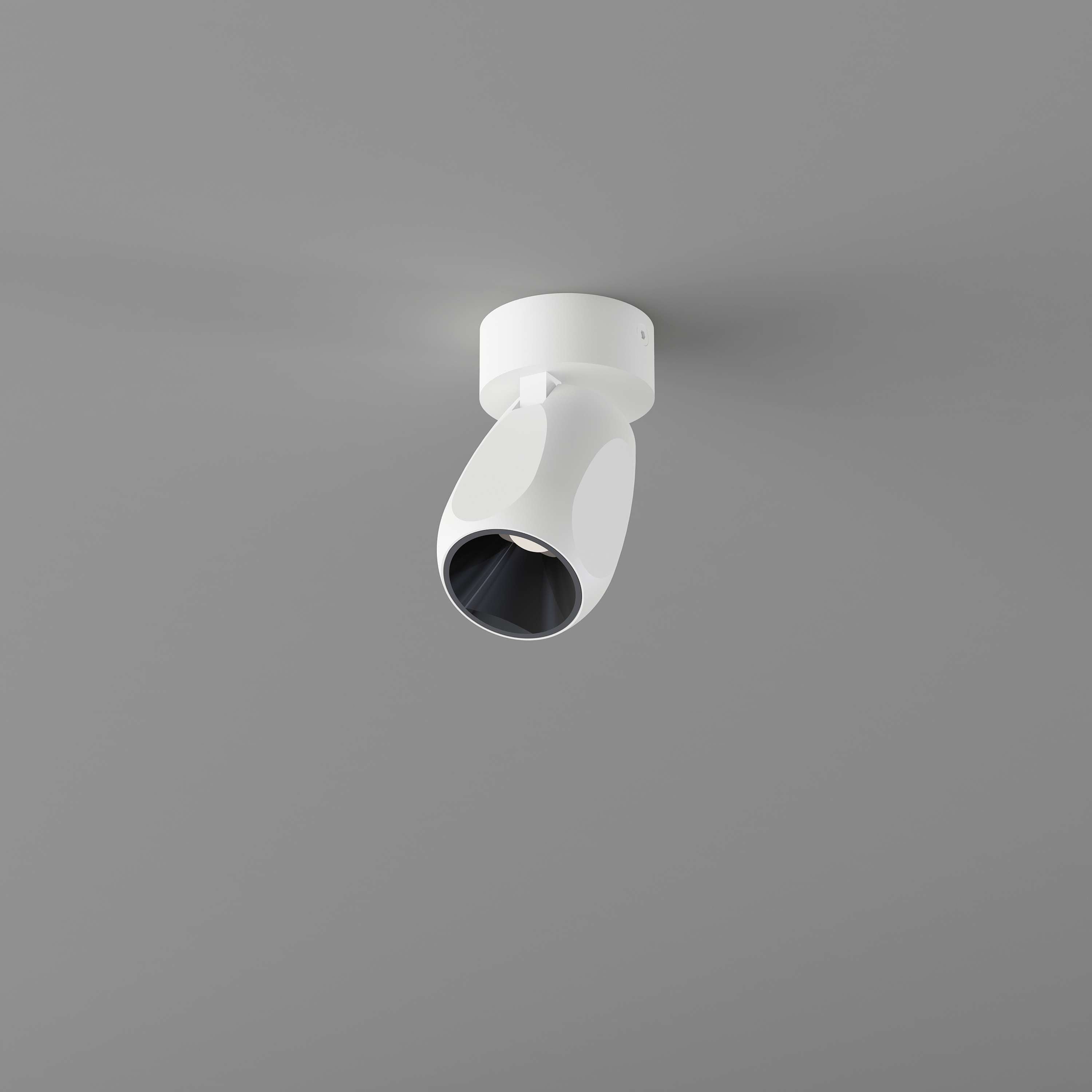 Box Medium 1 Ceiling spotlight