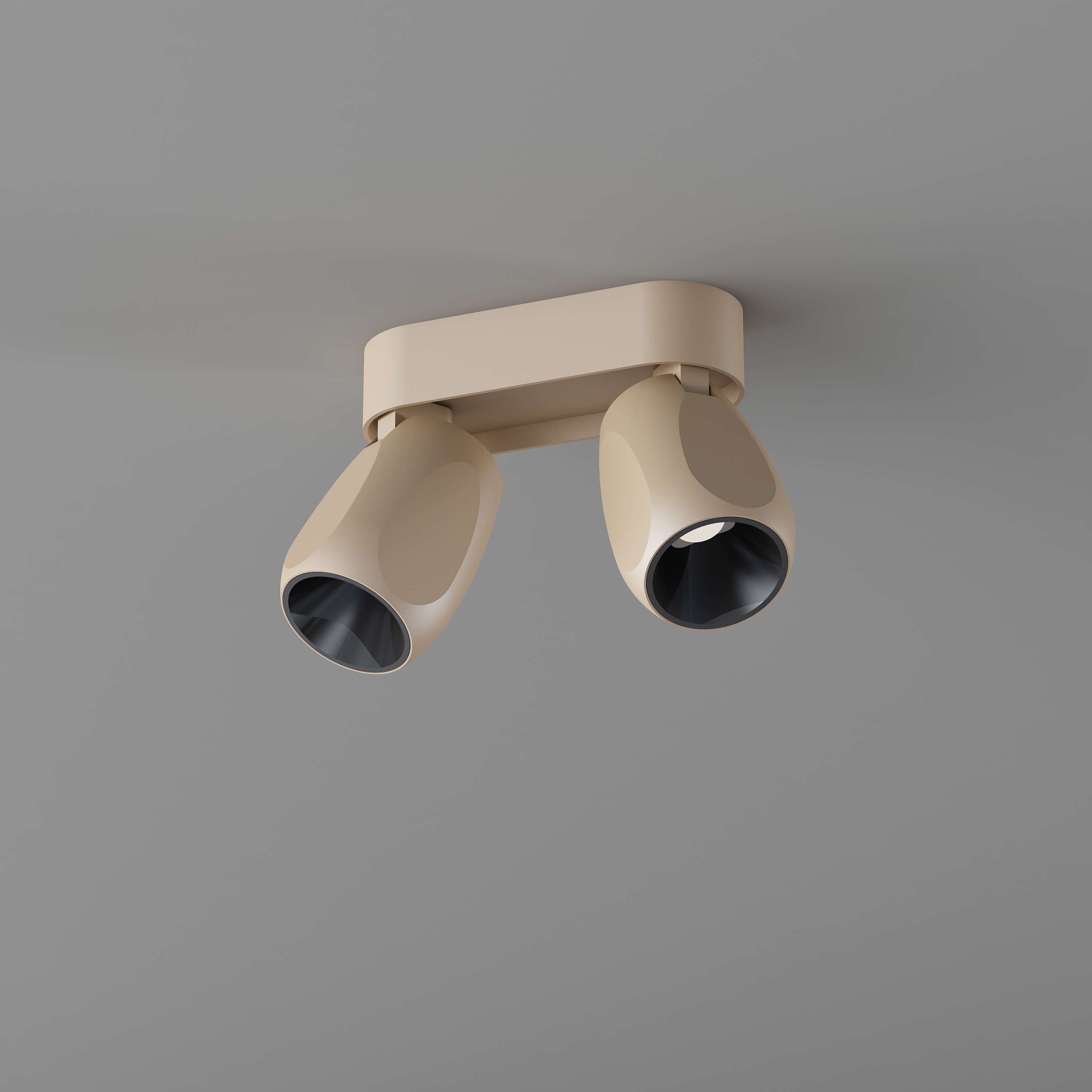 Box Medium 2 Ceiling spotlight