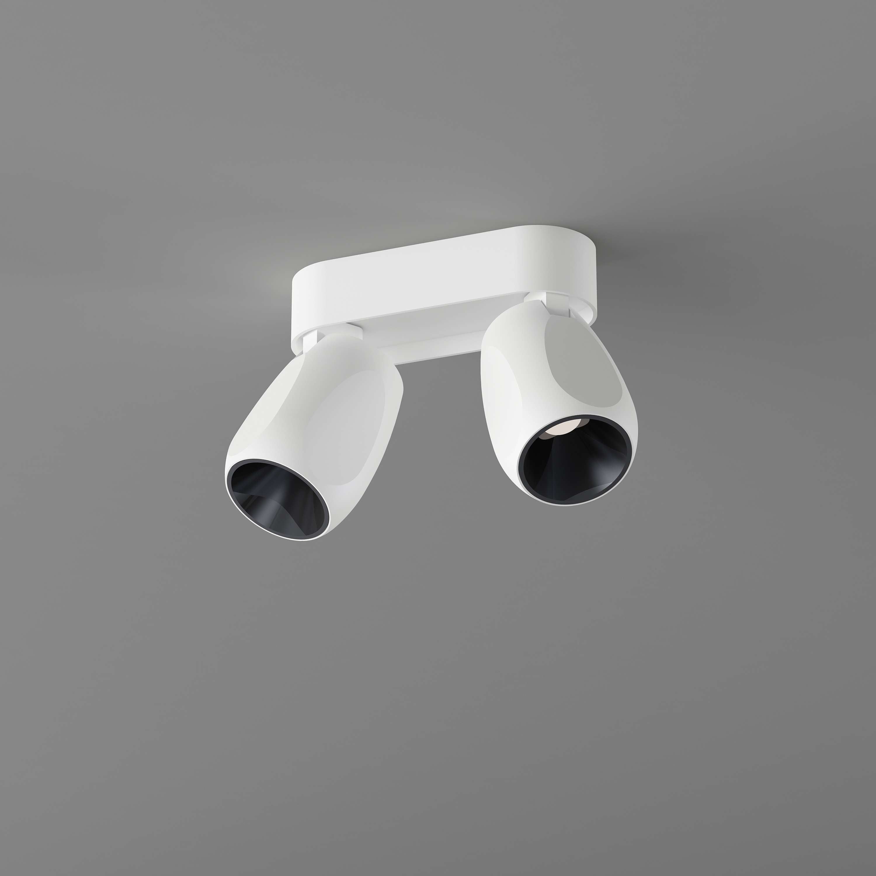 Box Medium 2 Ceiling spotlight
