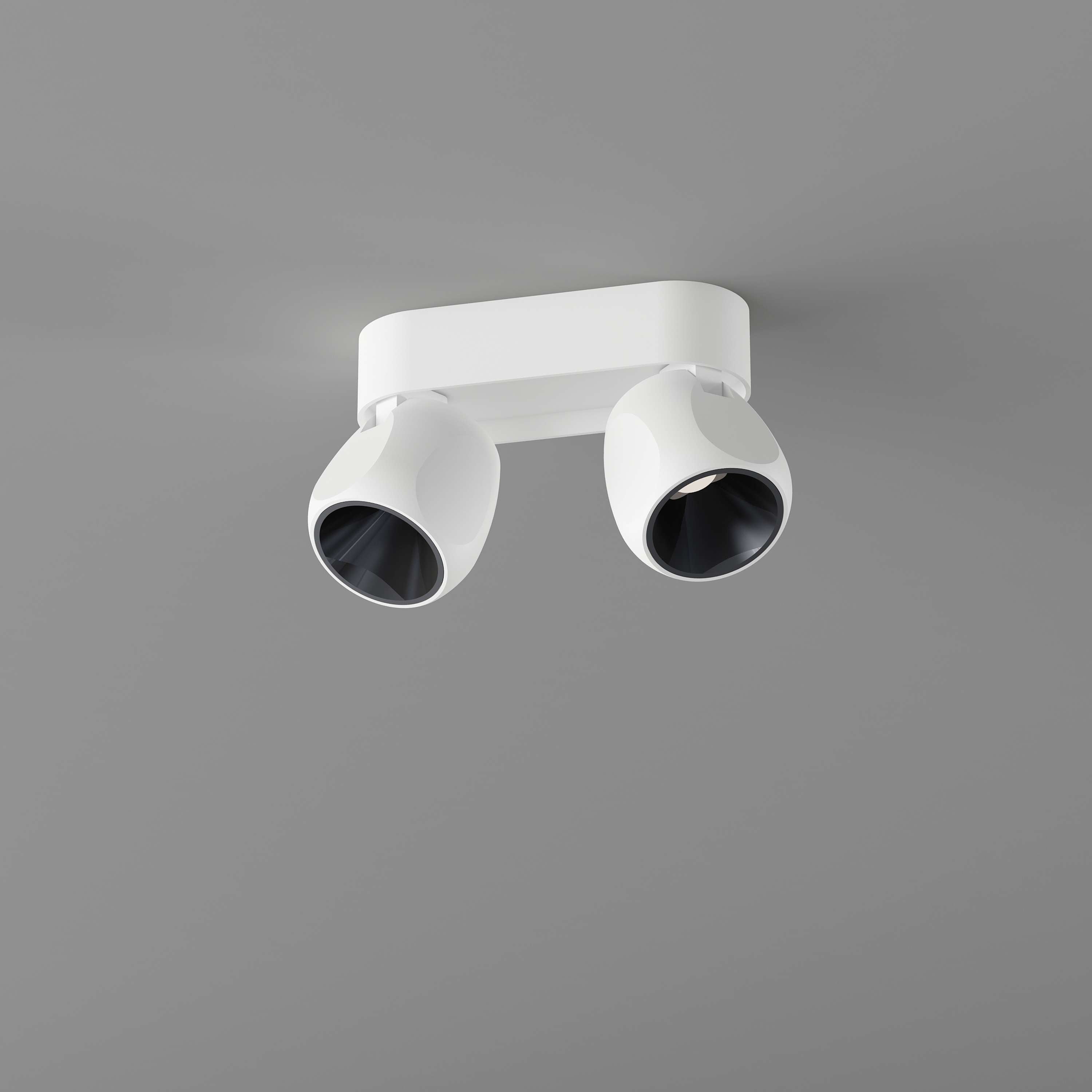 Box Small 2 Ceiling spotlight