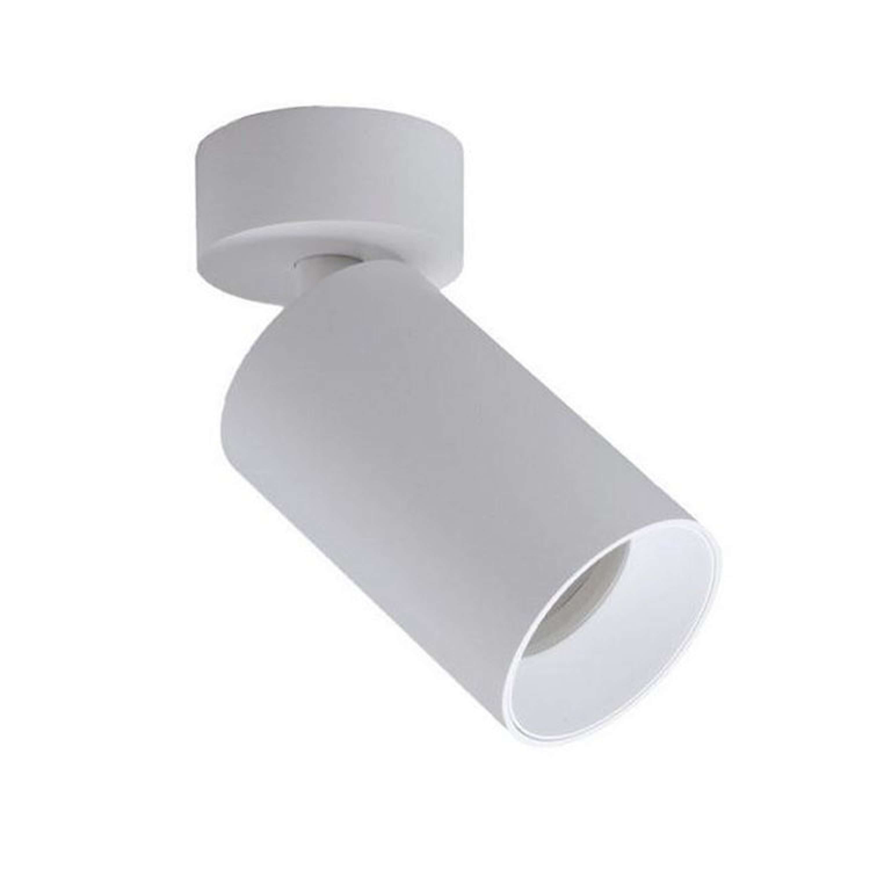 Connor Richtbare Plafondspot Wit