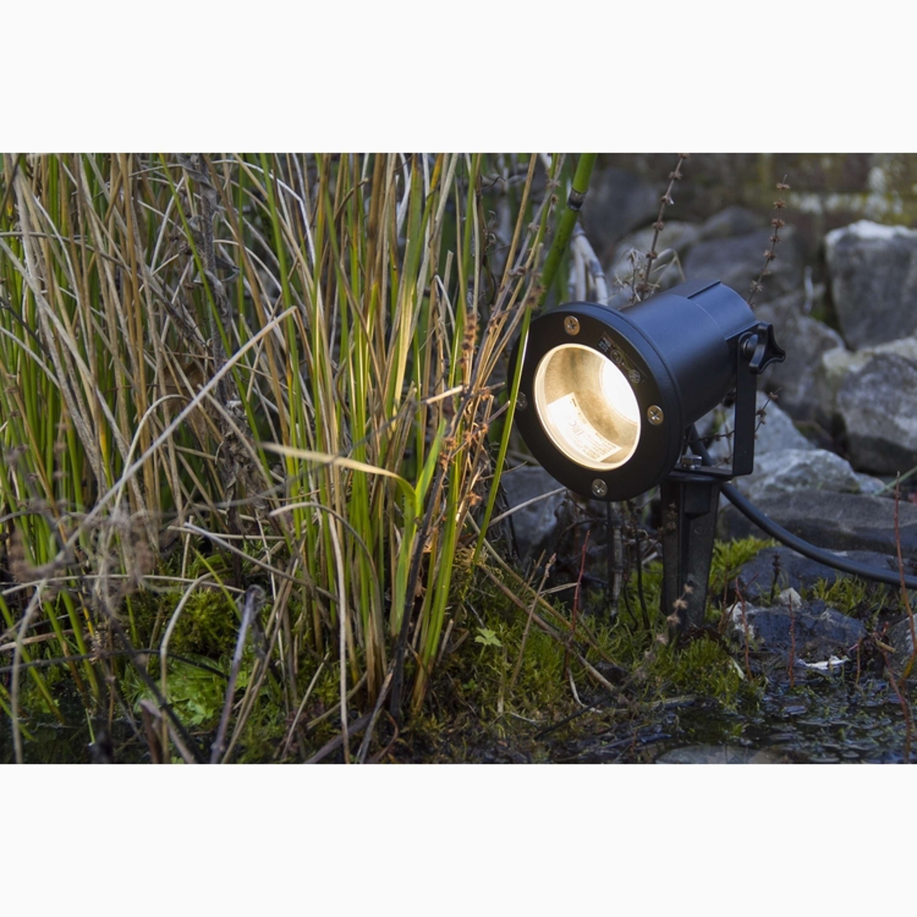 Doran Spike light Black
