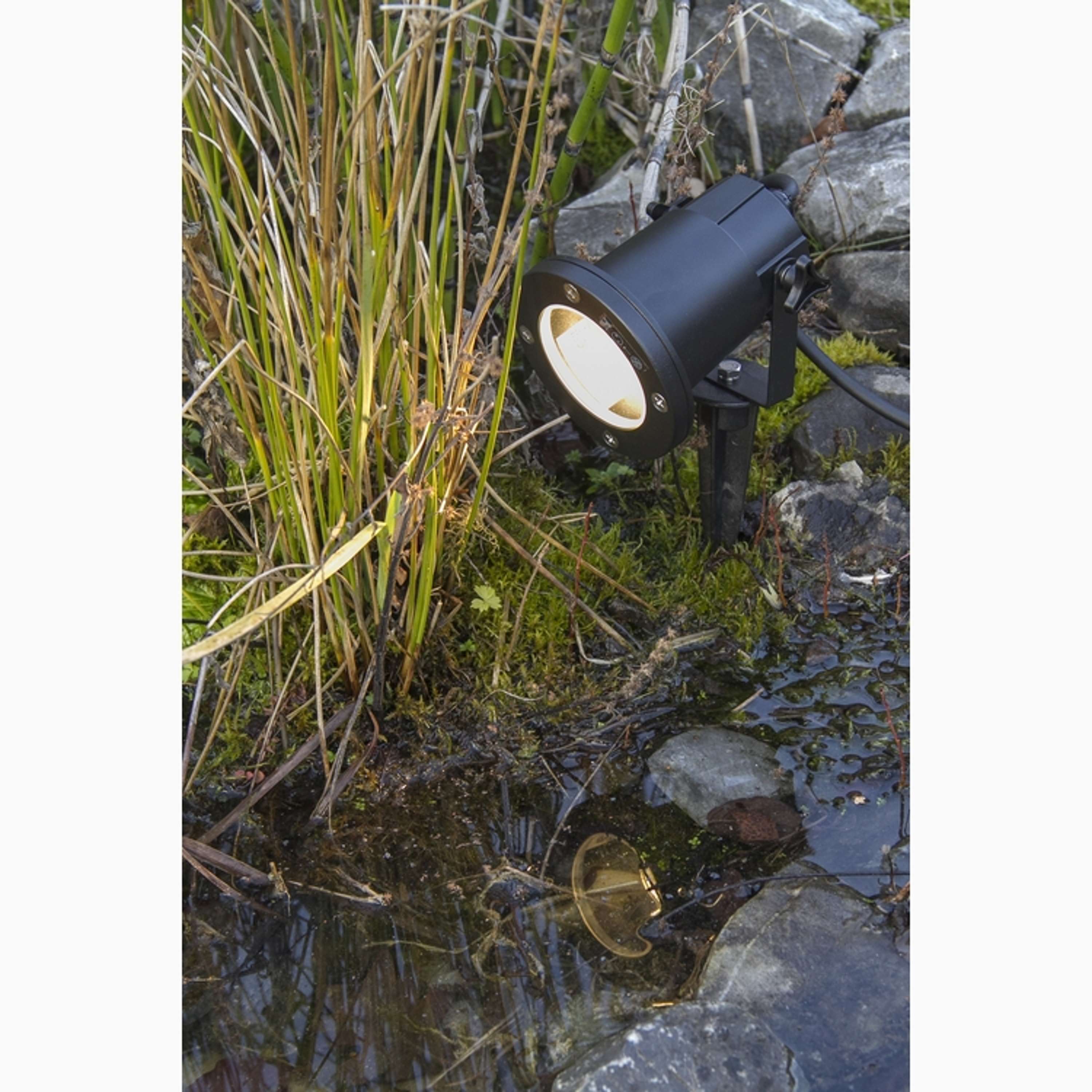 Doran Spike light Black