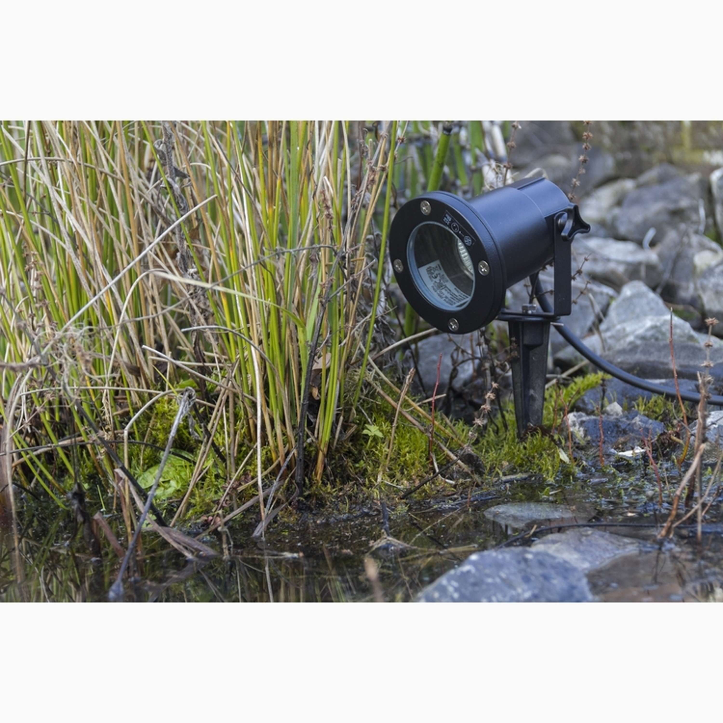 Doran Spike light Black