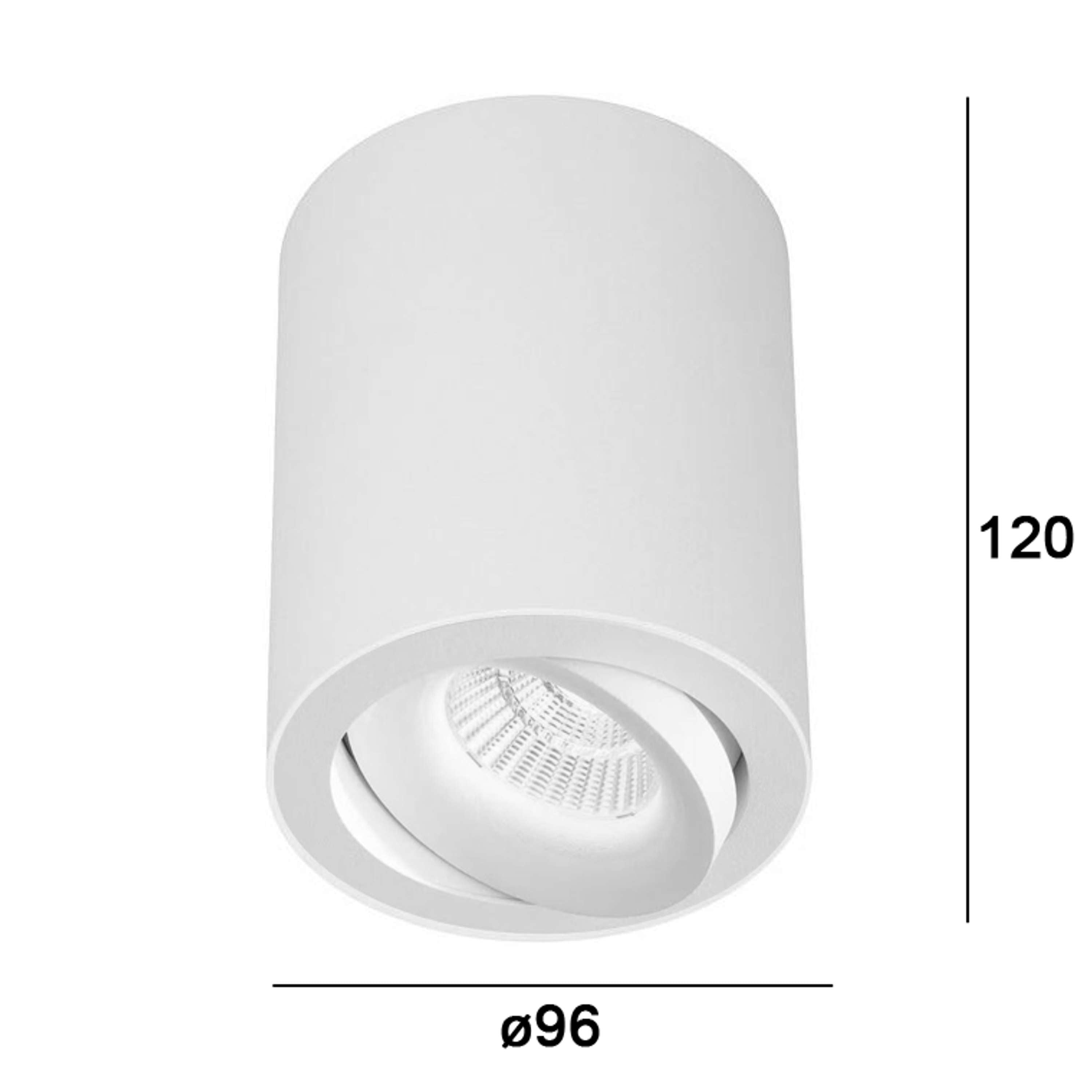 Clickfit Smooth Adjustable Surface mounted downlight Black/White