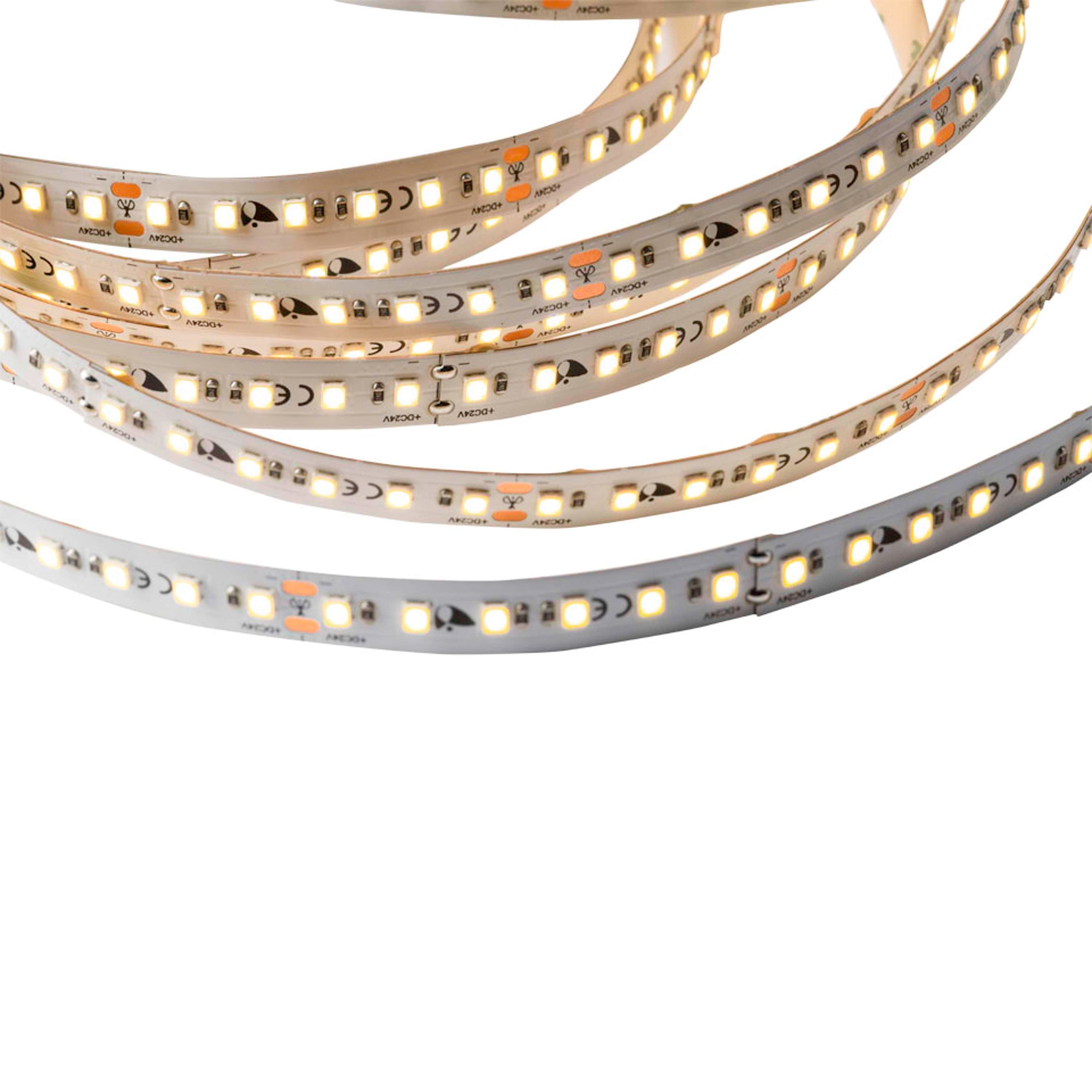 Zen 5m 12.8W/m LED light strip