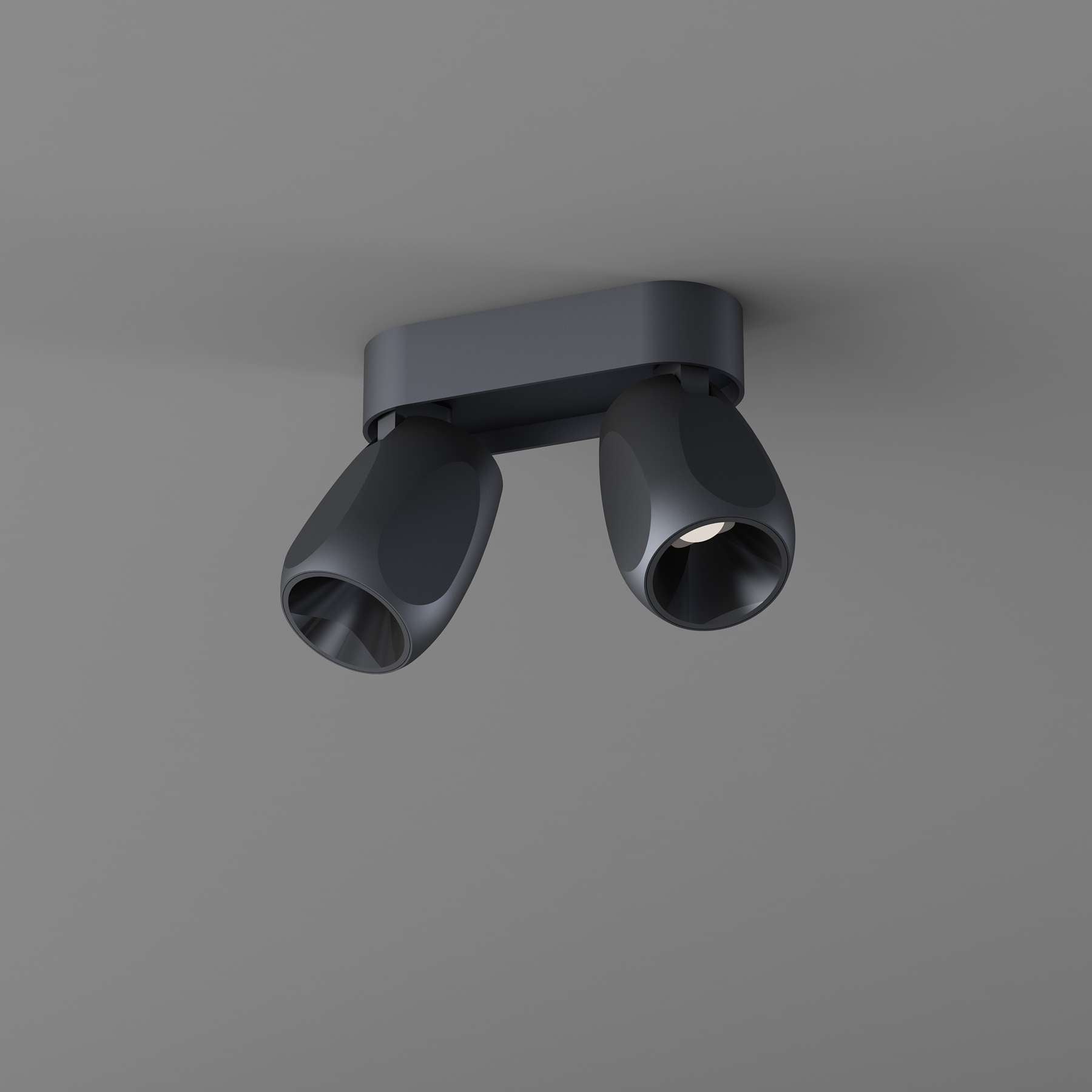 Box Medium 2 Ceiling spotlight