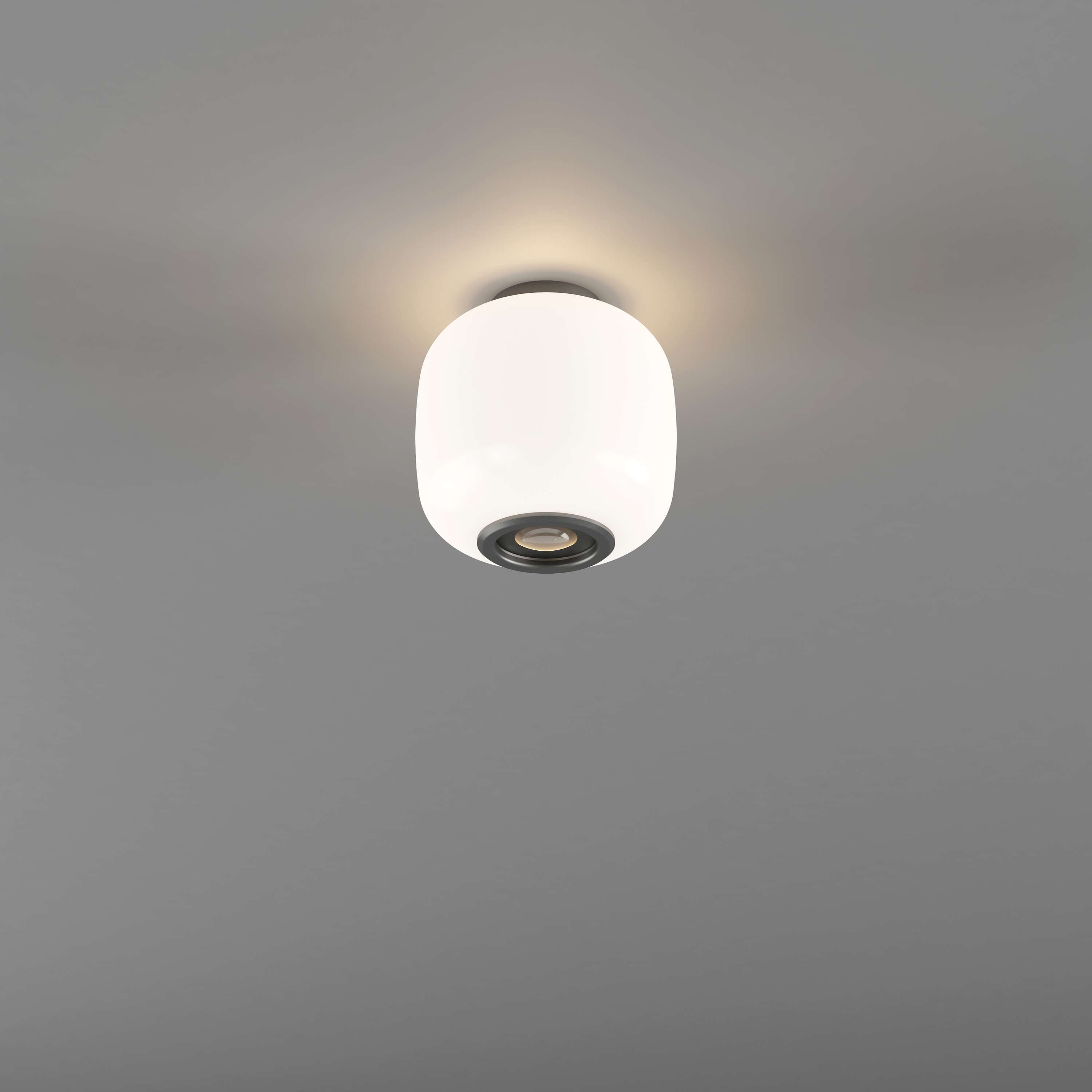 Drop Flush ceiling light