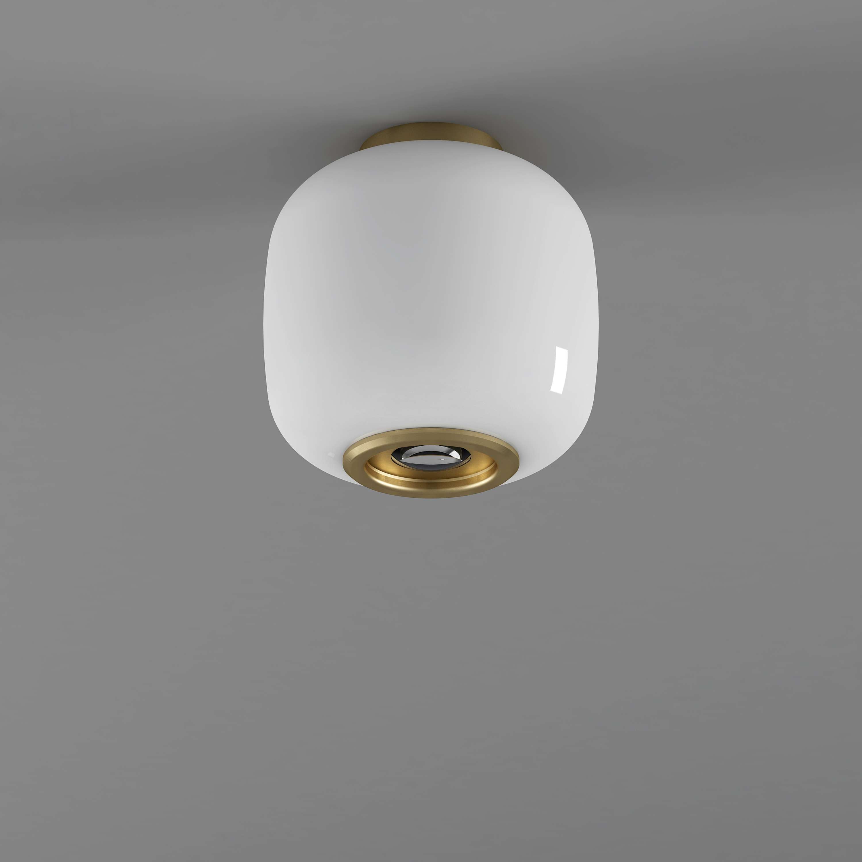 Drop Flush ceiling light