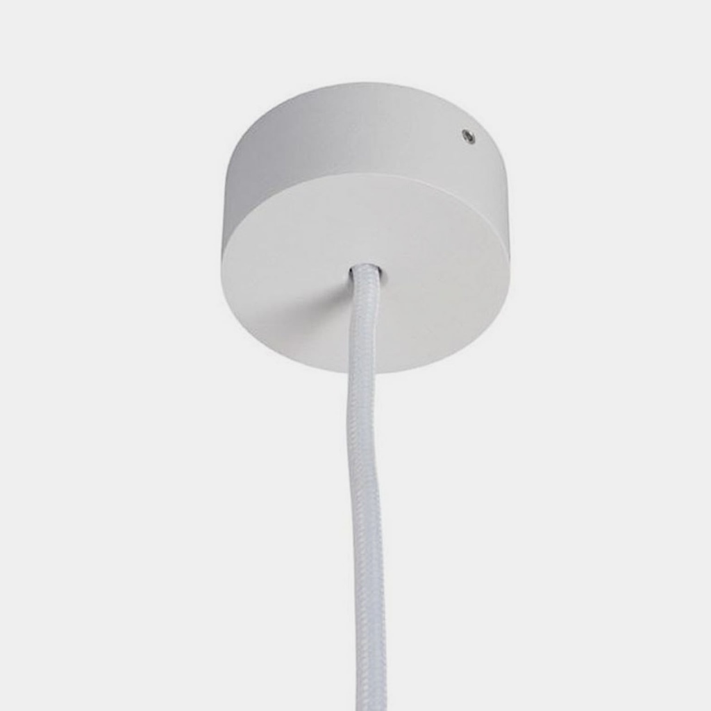 20C527011W0 - 2