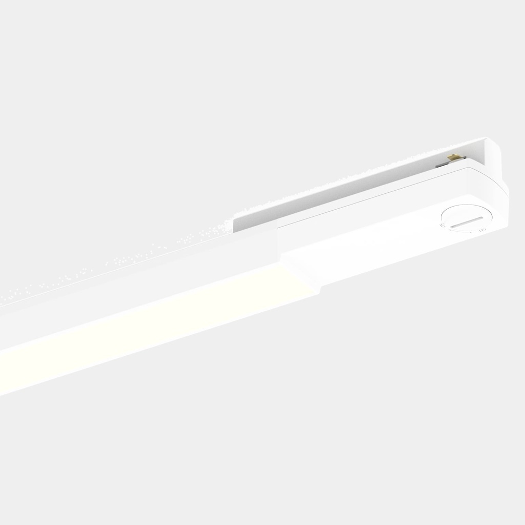 L01C4O6011W2 - 2