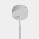 20C527011W0 - 2