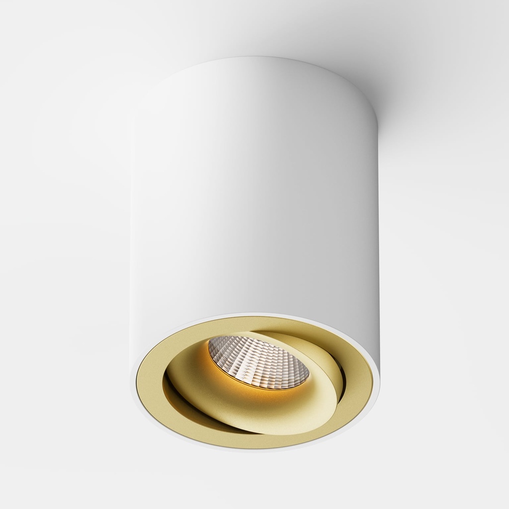 Clickfit Smooth Adjustable Opbouw downlight