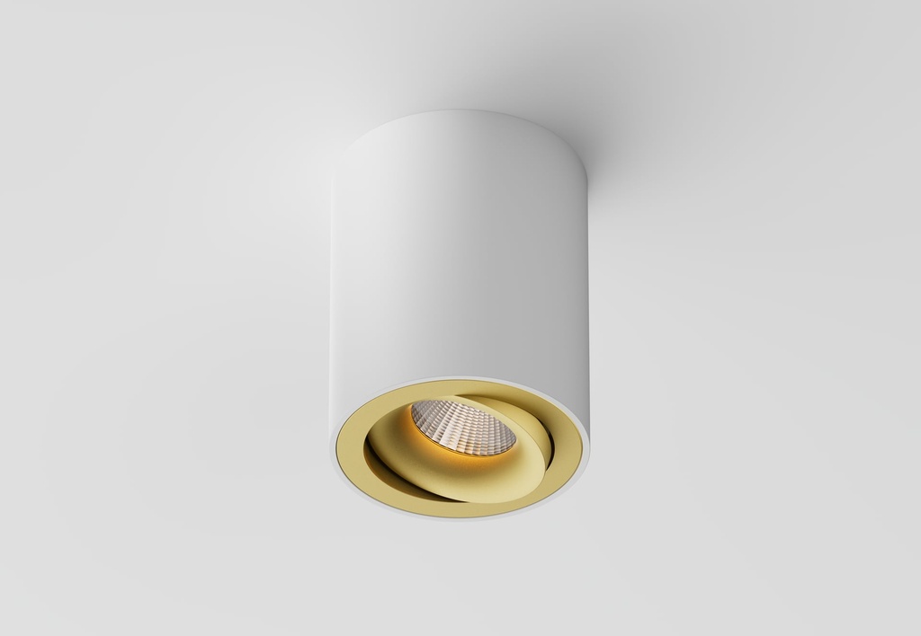 Clickfit Smooth Adjustable Surface mounted downlight