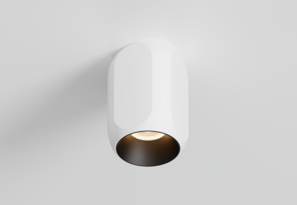 Box  Surface mounted downlight