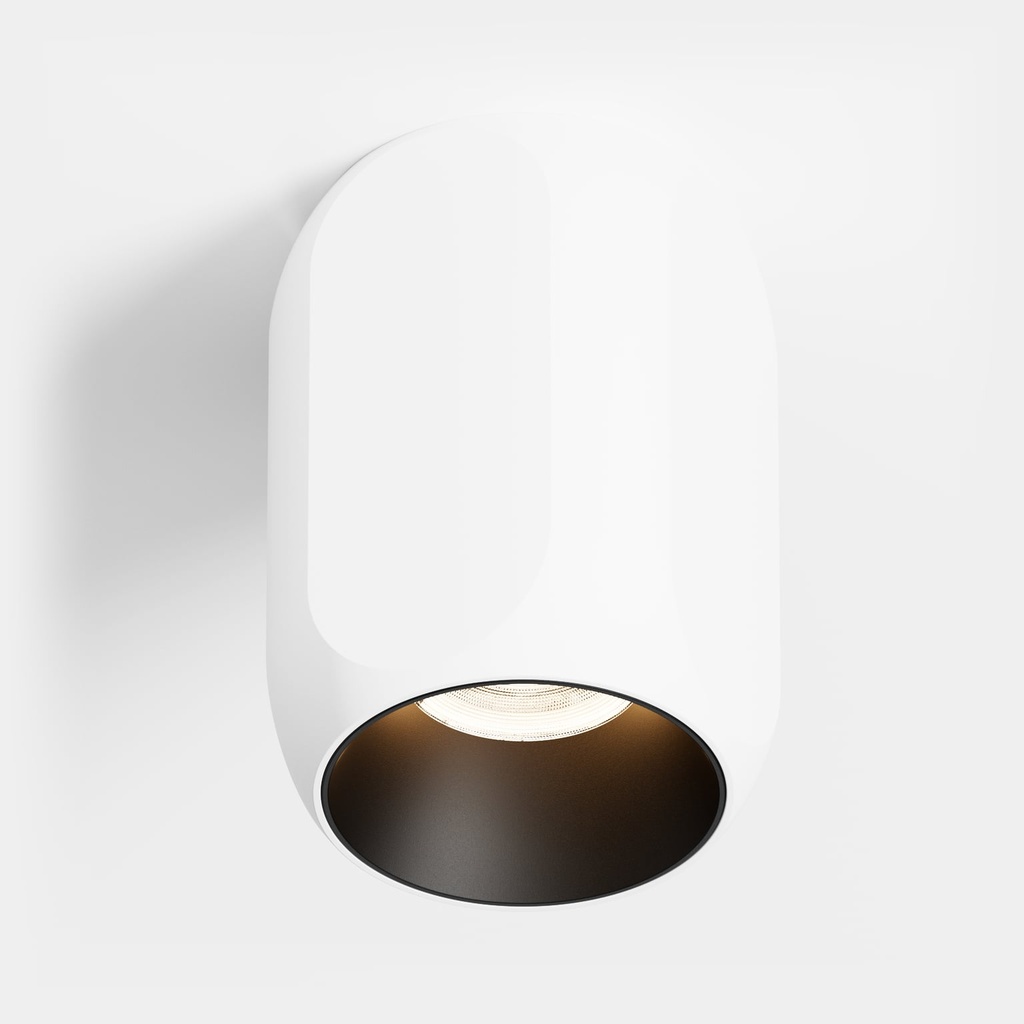 Box Aufbau-Downlight