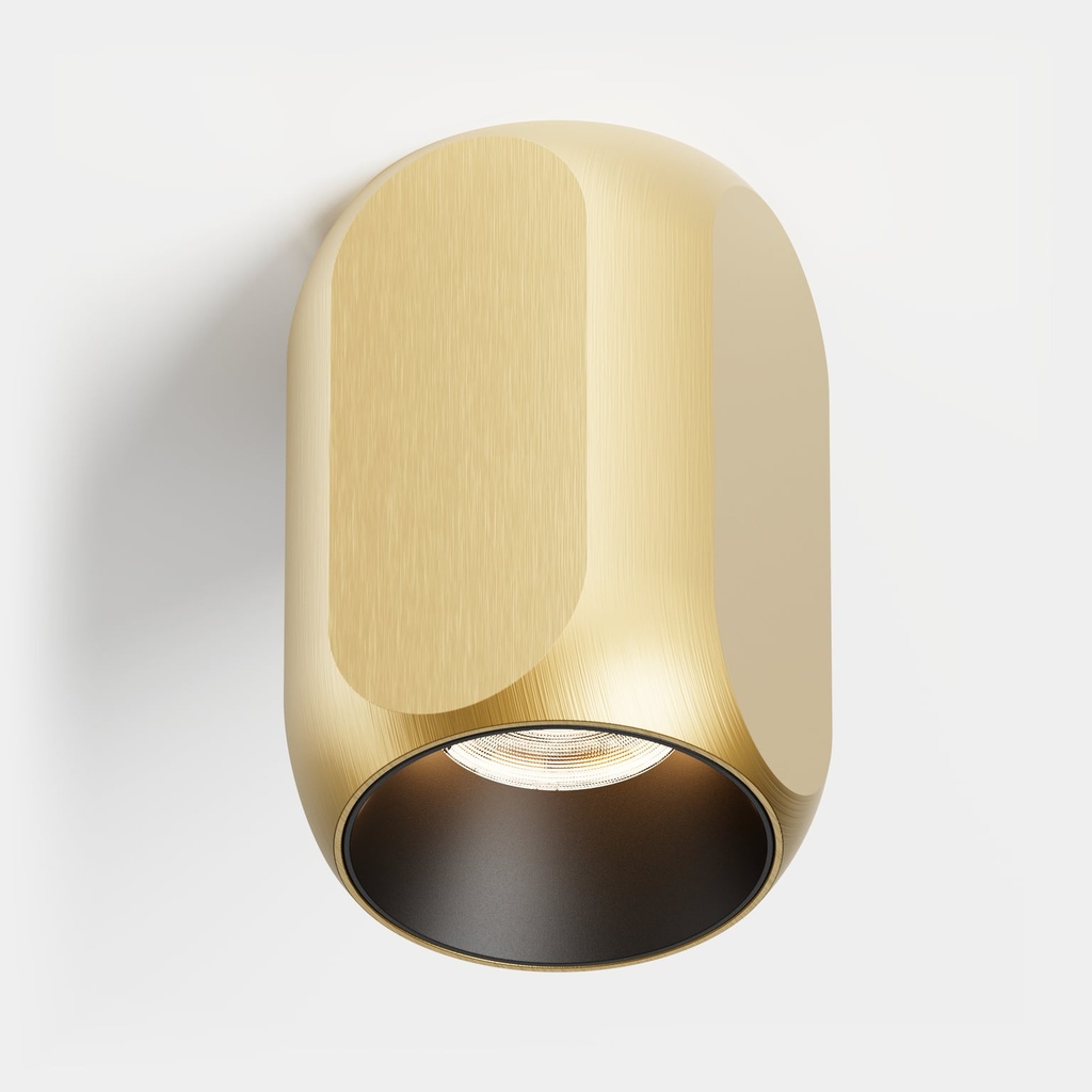 Box Opbouw downlight