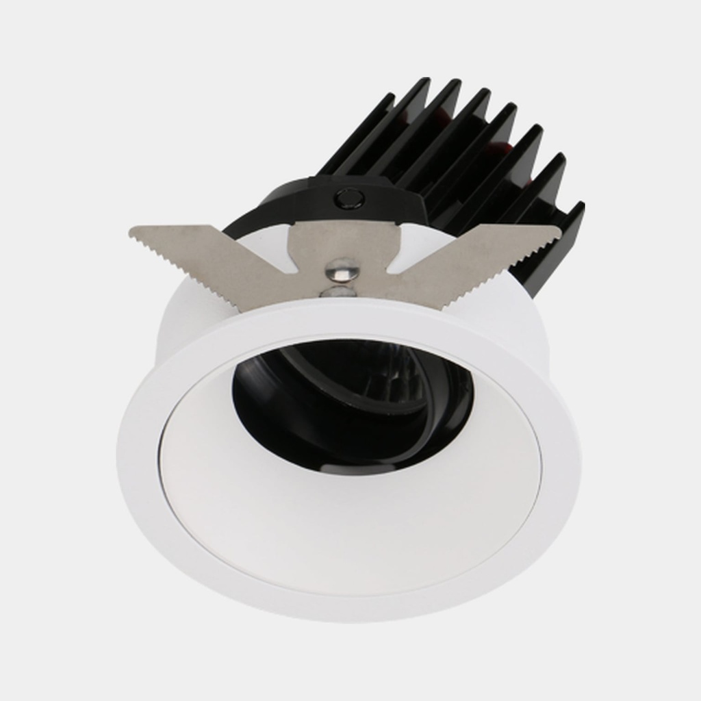 Flex Adjustable Inbouwspot