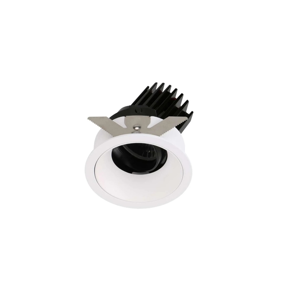 Flex Adjustable Recessed light