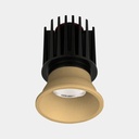 Zenkai Deco 350mA Module LED