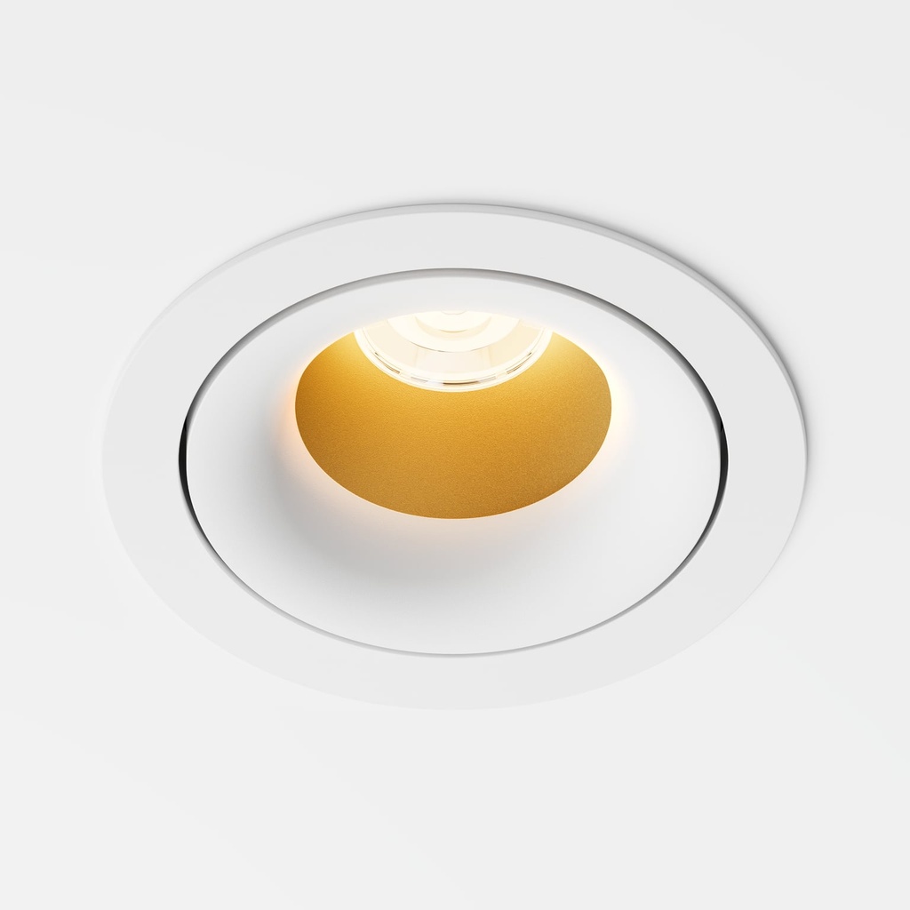 Enso Adjustable LED Recessed light